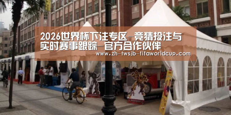 案例标题九
