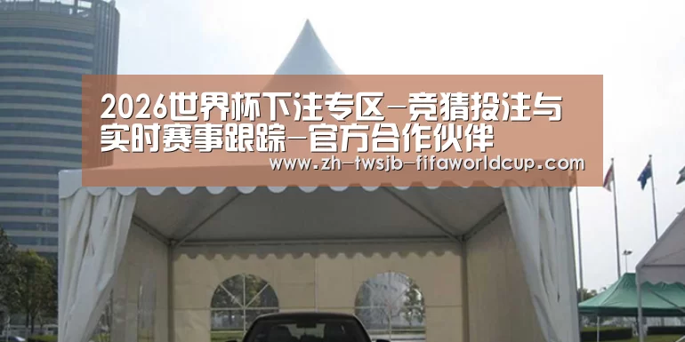 案例标题八